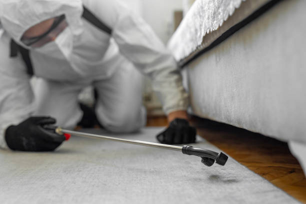 Professional Termite Control technician working in Patterson Tract, CA