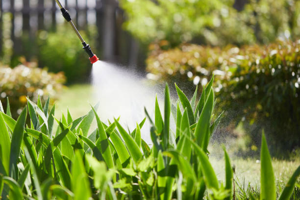 24/7 Emergency Termite Control experts in Patterson Tract, CA