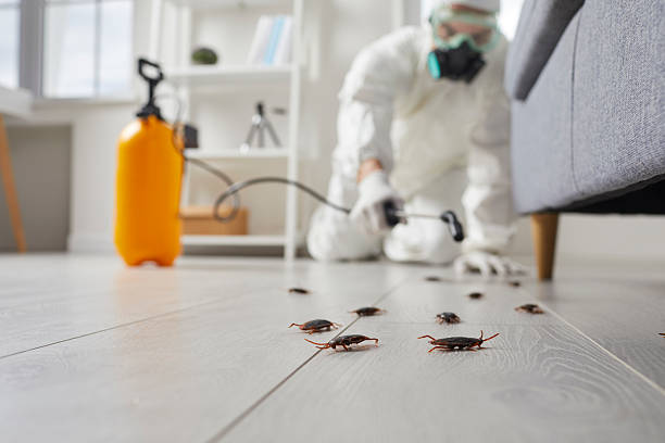 Affordable Termite Control solutions in Patterson Tract, CA